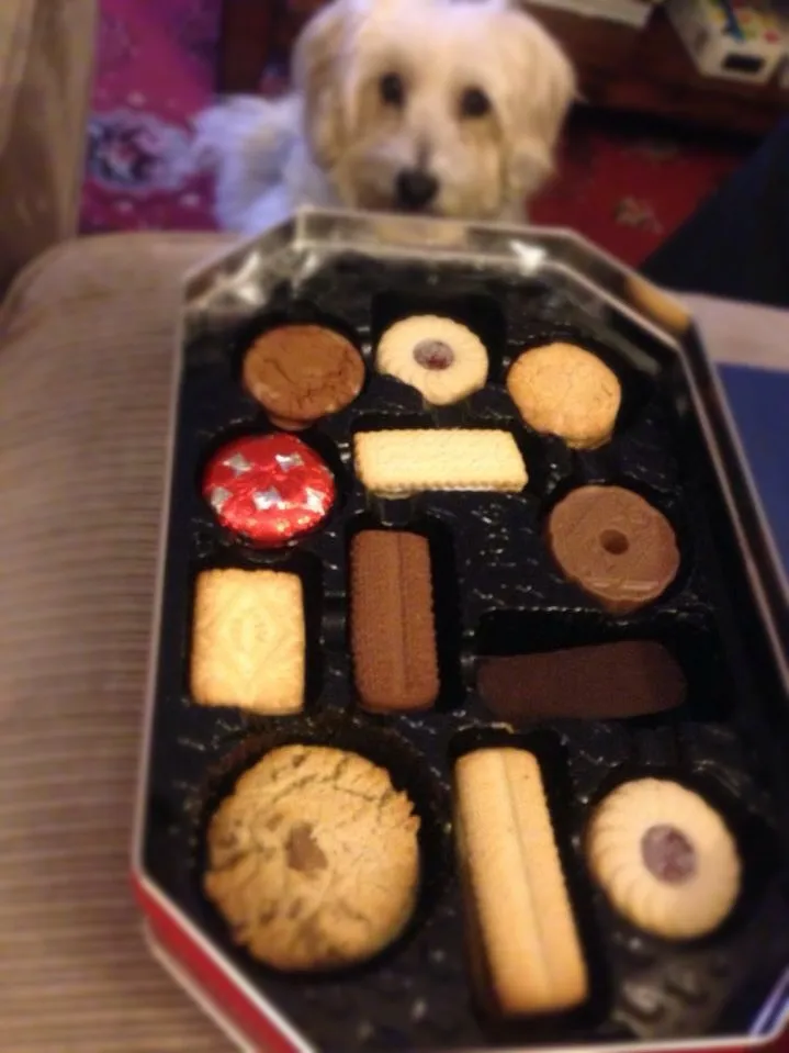 Foxes assorted biscuits.|Karla Collington Ryderさん