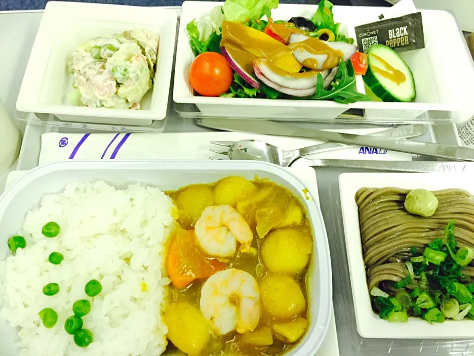 ANA 機内食 和食カレーとそば|Noriyuki Saitoさん