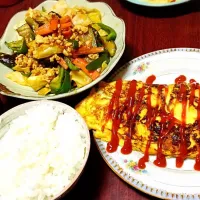 Snapdishの料理写真:プレーンオムレツ
麻婆茄子
味噌汁|ゆりさん