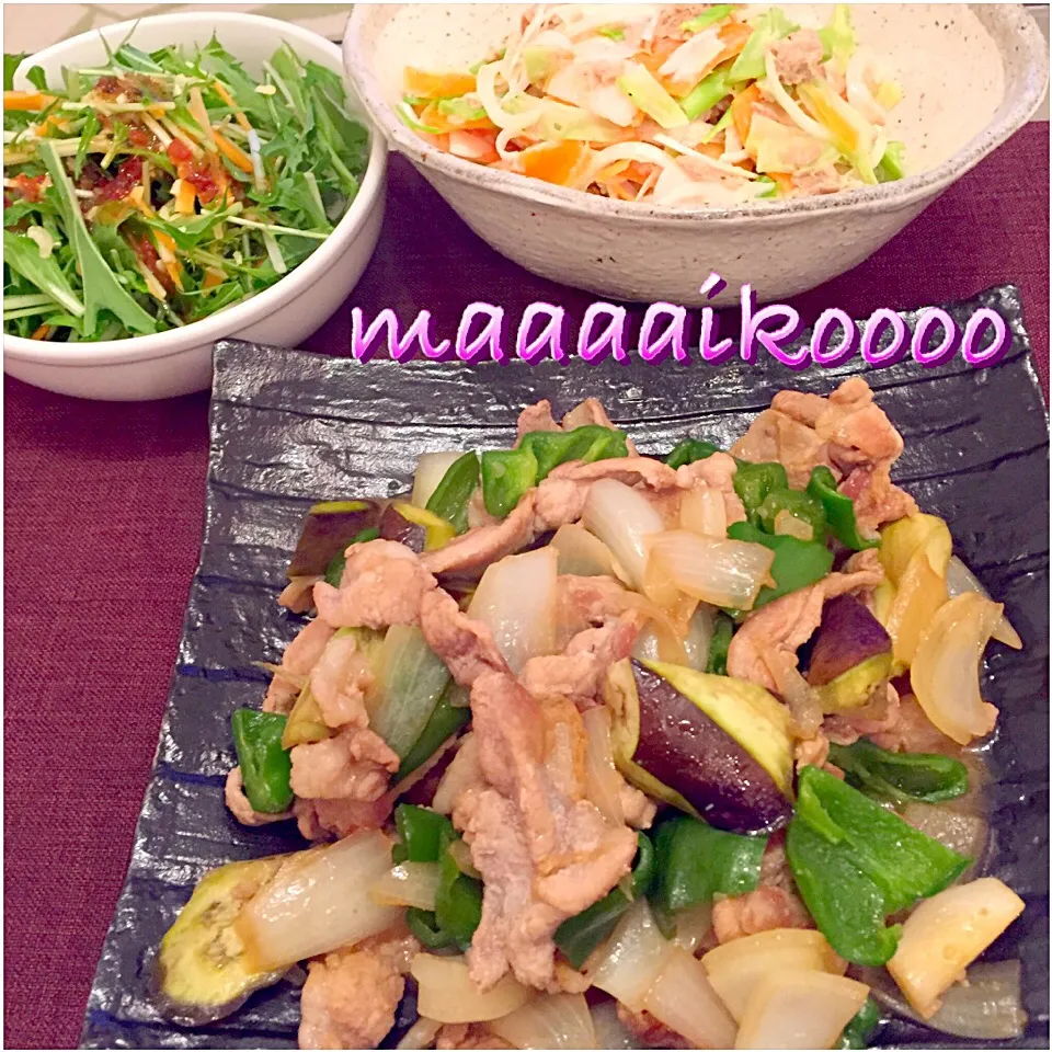 豚肉野菜の味噌炒め✨色々野菜のシーチキンマヨサラダ✨水菜サラダ|マイコさん