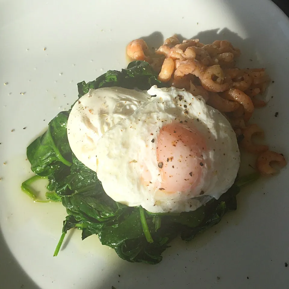 Poached egg with spinach and shrimps|Liesbeth Maliepaardさん