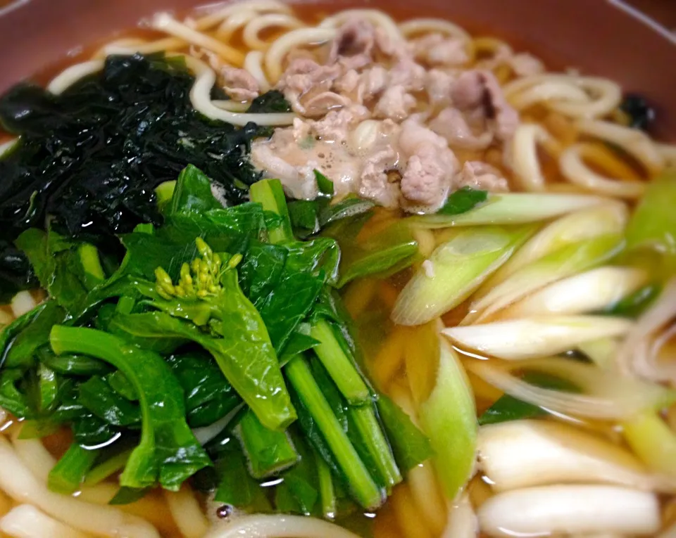 昼ごはん  菜の花と豚肉の煮込みうどん|ぽんたさん