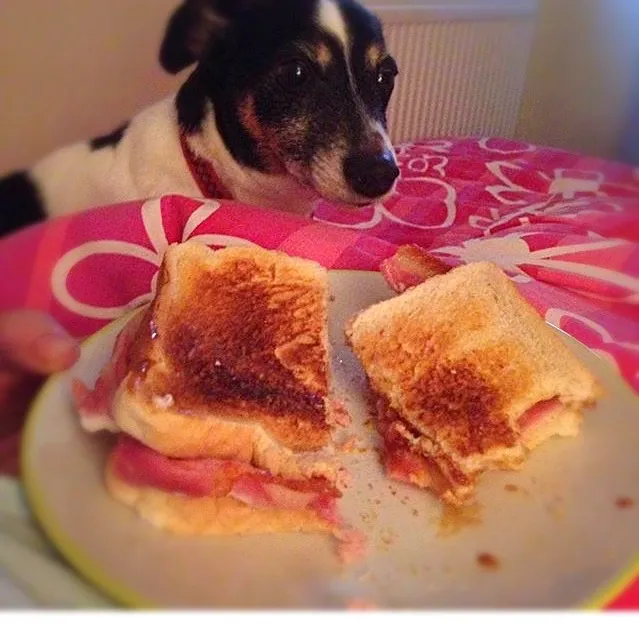 Bacon toastie.|Karla Collington Ryderさん