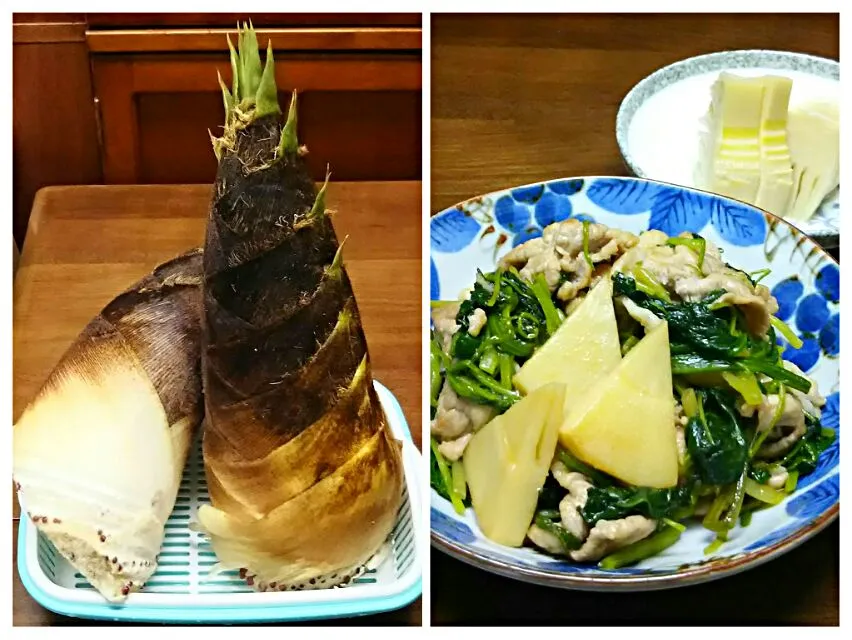 Snapdishの料理写真:タケノコがやってきた❗煮物と炒め物|あらいぐまのしっぽさん