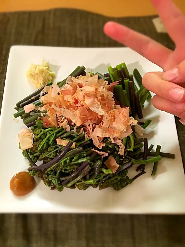 わらびでーけたU^ェ^U|アリエッティさん