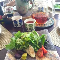 Snapdishの料理写真:野生ルイボス藻塩と極上オリーブオイルで色を食べる春サラダ|＊SANAE＊さん