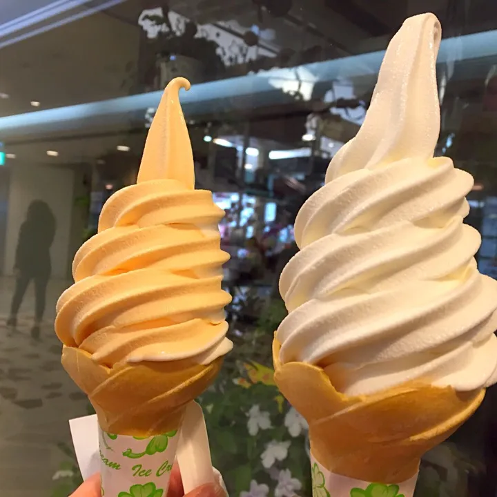 北海道どさんこプラザ
メロンミックス バニラ ソフトクリーム🍦|chiaki3（平川ちあき）さん