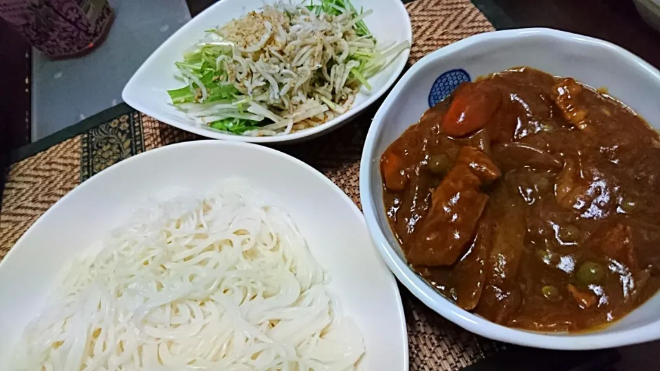 しらすと水菜のサラダ&ソーメン&カレー|まぐろさん