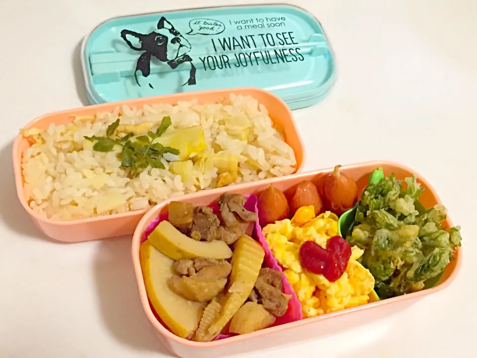 4/18のお弁当|しおり。さん