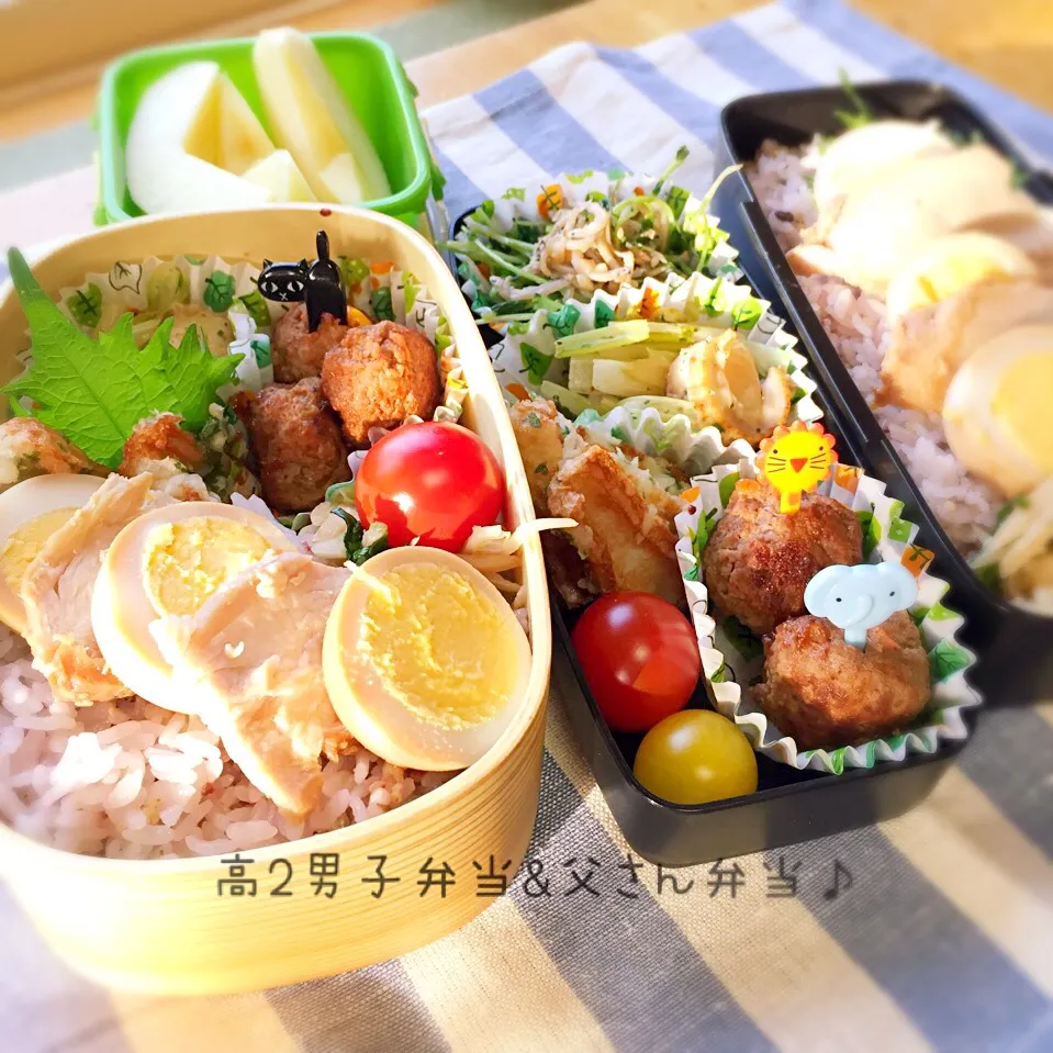 Snapdishの料理写真:高2男子弁当&父さん弁当♪|のりころさん