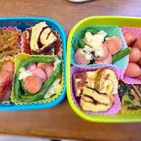 ４日目！お弁当🍱|めぐさん