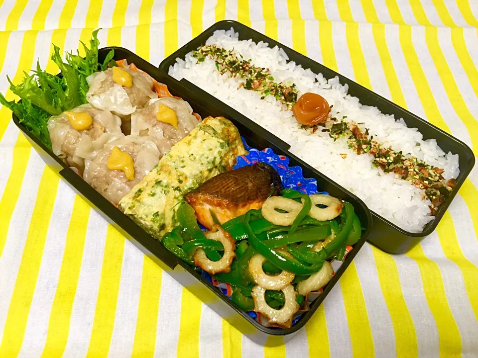 ☆本日のパパ弁当☆|scandimikanさん