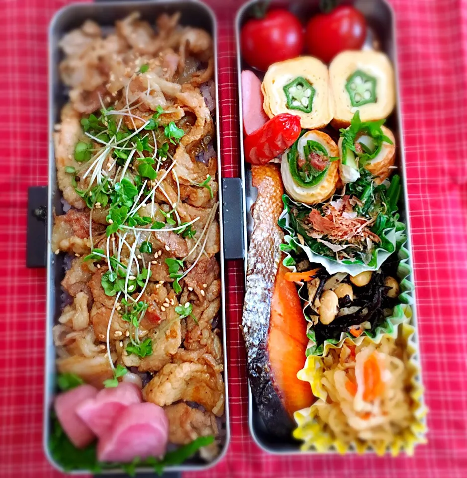 初めての愛妻弁当💕|アズさん