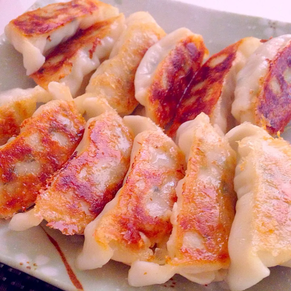 Gyoza❤️|Germaine Español Alab-Kodairaさん