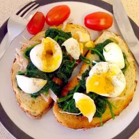 Snapdishの料理写真:Boiled egg, spinach and chiken on white tiger bloomer|Meeさん