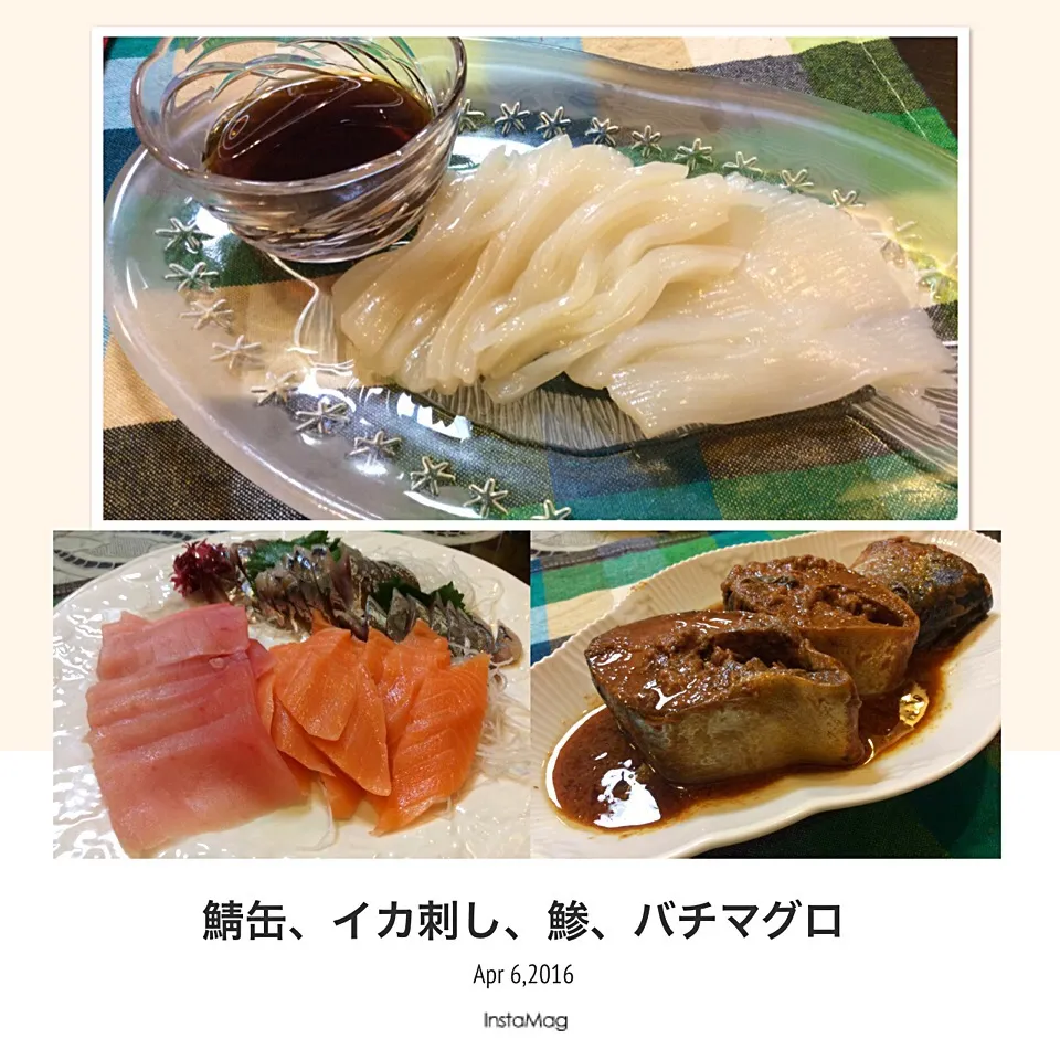 今宵のアテ🐟😋「鯖缶、バチマグロ、イカ刺し、バチマグロ、サーモン」|アライさんさん