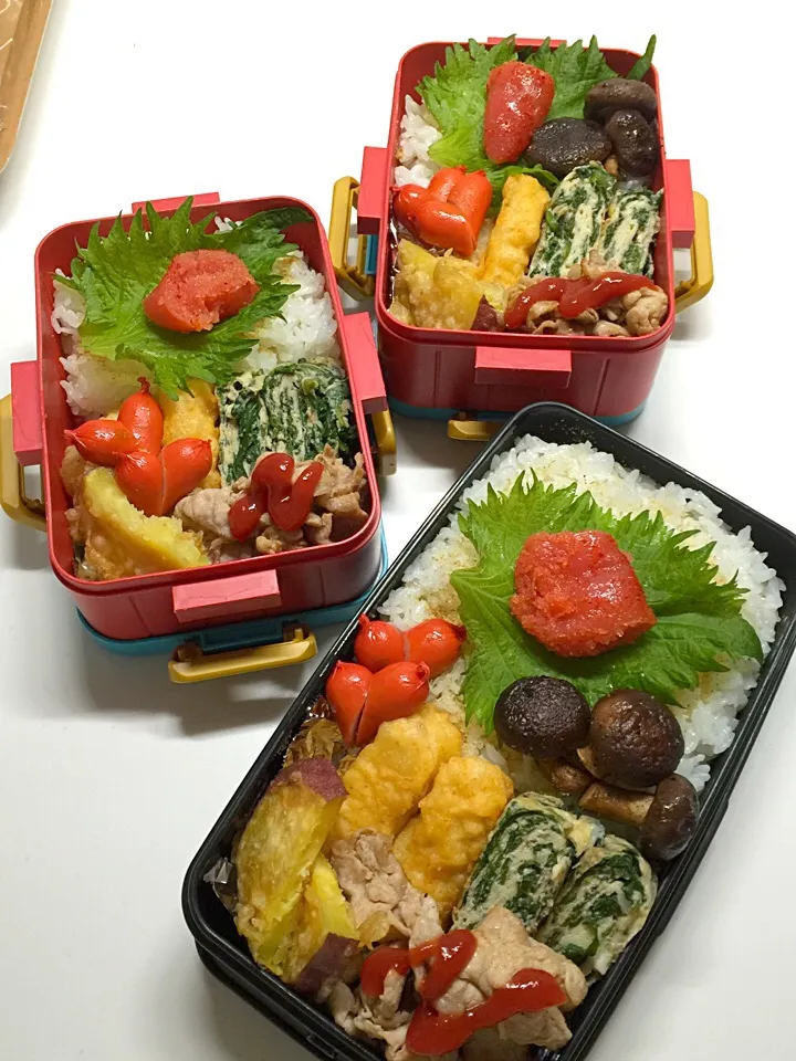 4/19弁当🍴|三姉妹のママさん