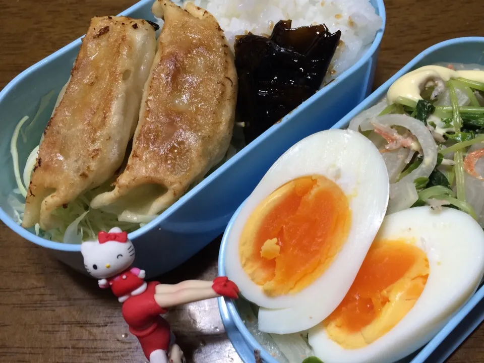 Snapdishの料理写真:夕飯の王将の餃子拝借！大根は古すぎてこれ不味いんじゃね(~_~;)|もっつぁさん