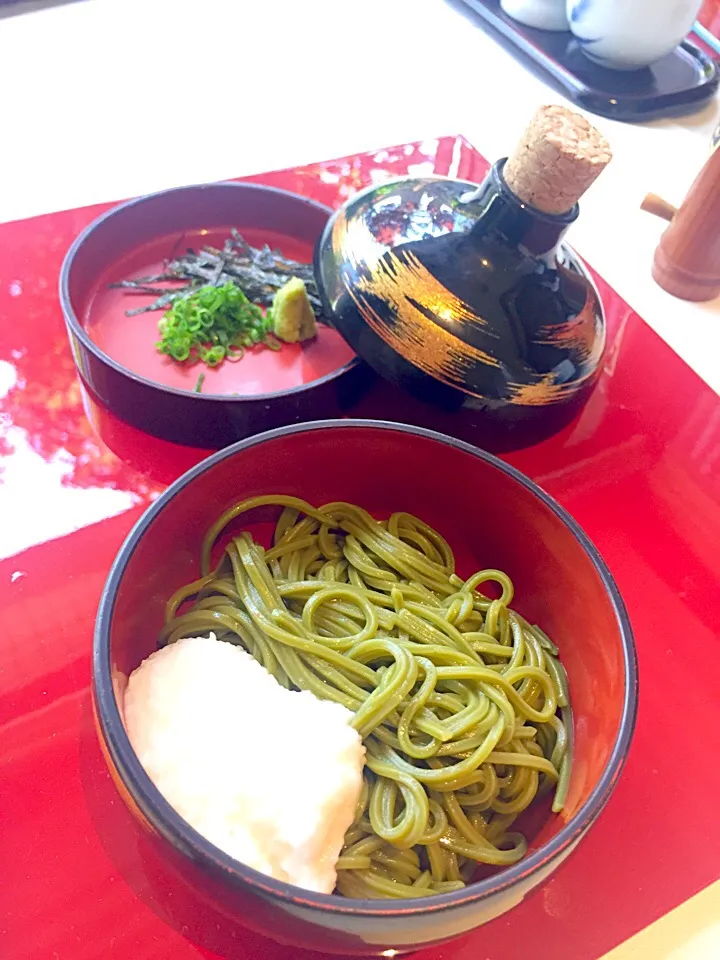 浅草むぎとろ別館
とろろかけ蕎麦😍|ジャスミンさん