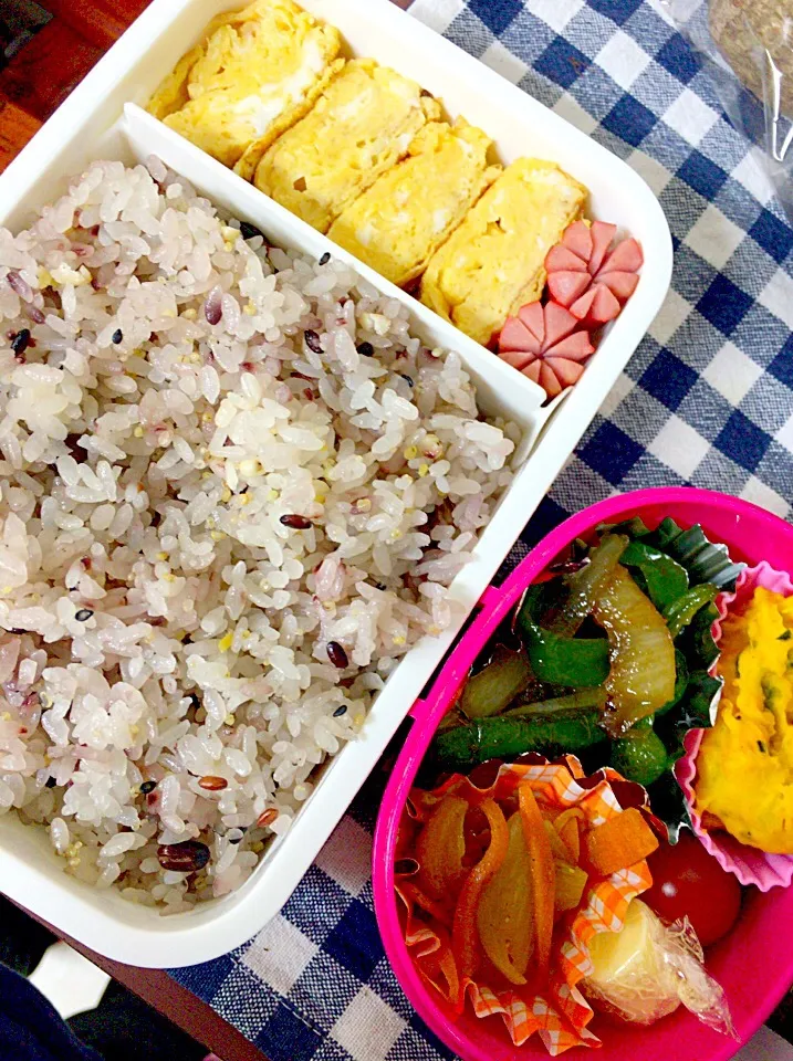 Snapdishの料理写真:十六穀米の健康弁当|みほちさん