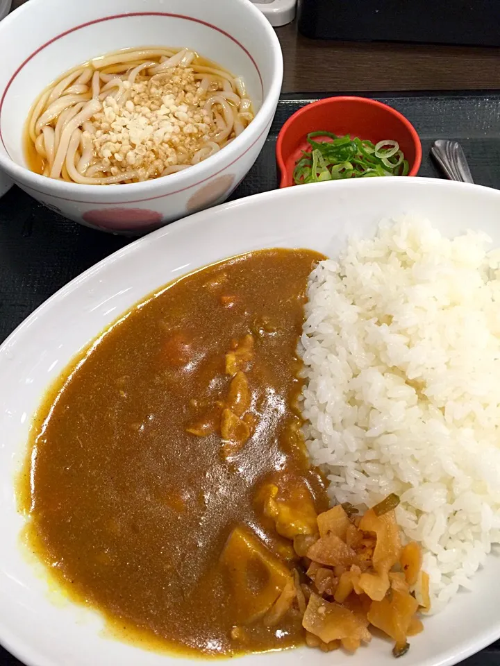 Snapdishの料理写真:和風チキンカレーと小うどん冷やし|T. Wonderさん