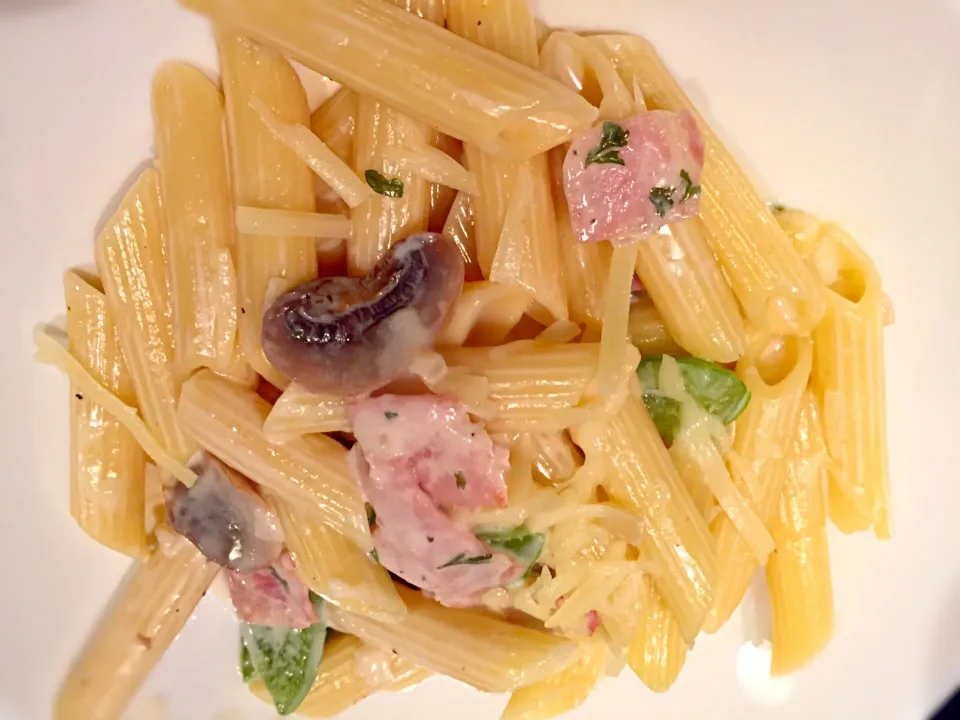 Penne cream sauce|mee aphipongさん