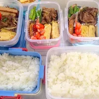 Snapdishの料理写真:高3高1お弁当|シロエビさん