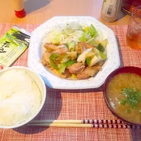 Snapdishの料理写真:鶏肉とネギの塩麹和え
白菜と玉ねぎのお味噌汁|marie mochiさん