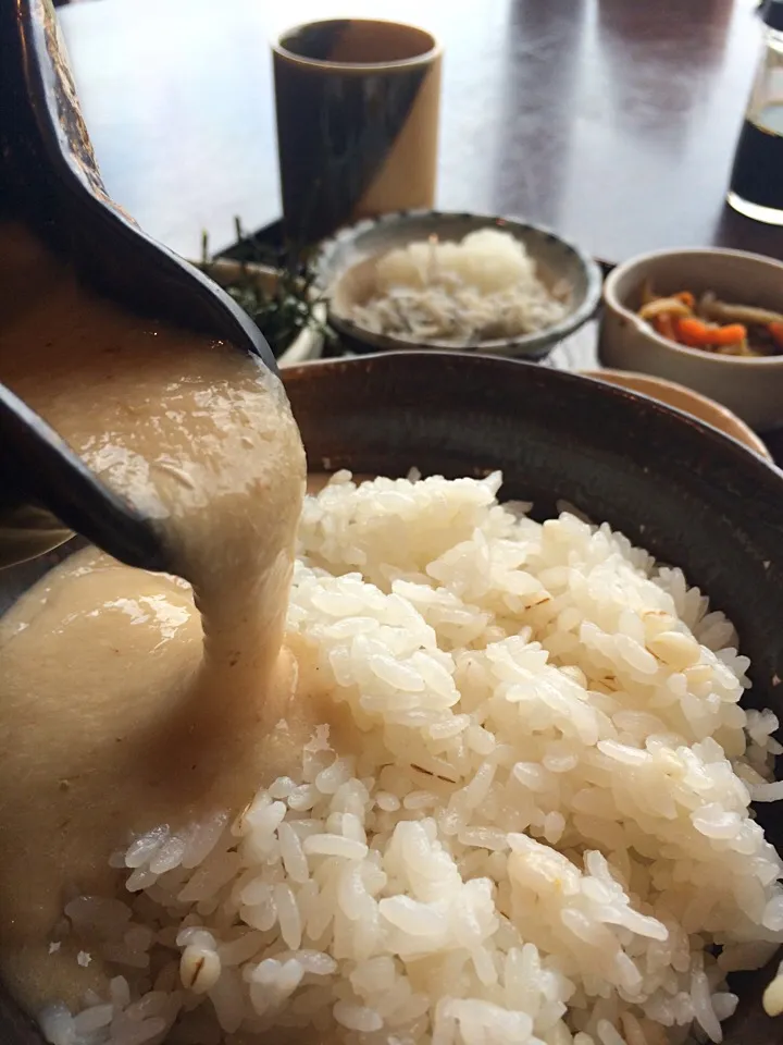 とろろ定食|ダンディ☆和田さん