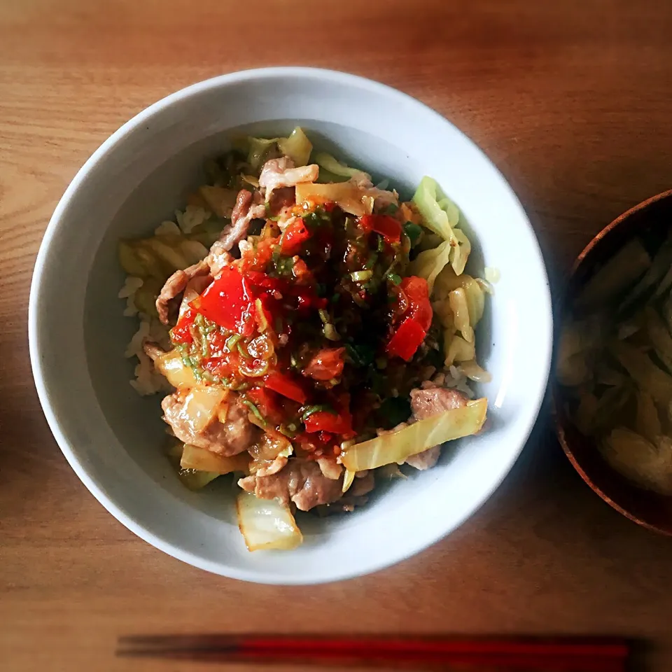 ぶた丼
トマトとネギとパプリカのタレで|TKさん