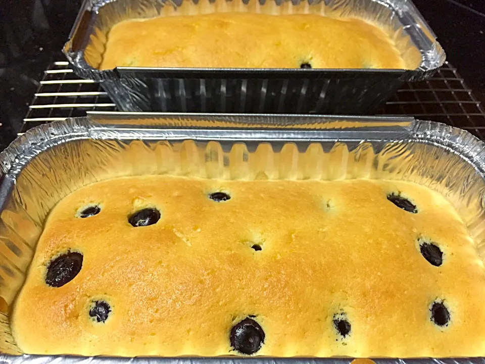 Snapdishの料理写真:Lemon Blueberries Yoghurt Cake|Tari's Kitchenさん