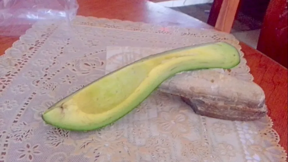 It was cultivated in my dad's farm #avocado|Luis Antonio Guerra Gonzálezさん