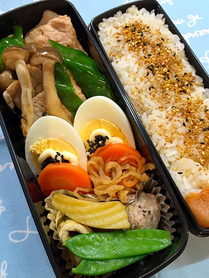 今日のお弁当|chiinaさん