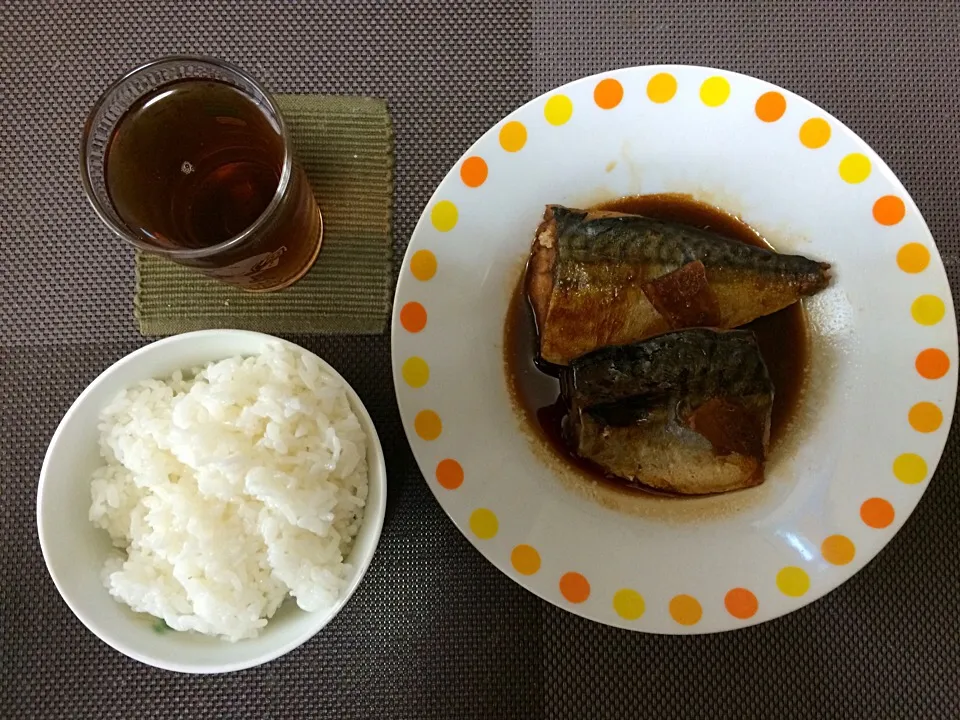 さばの煮付けご飯|ばーさんさん