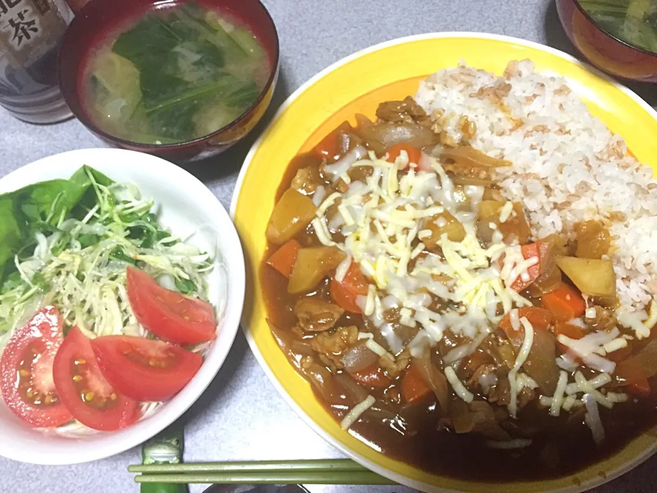 チーズカレー麦飯ライス、豆苗新玉サラダ、ミョウガ小松菜ネギ味噌汁|ms903さん