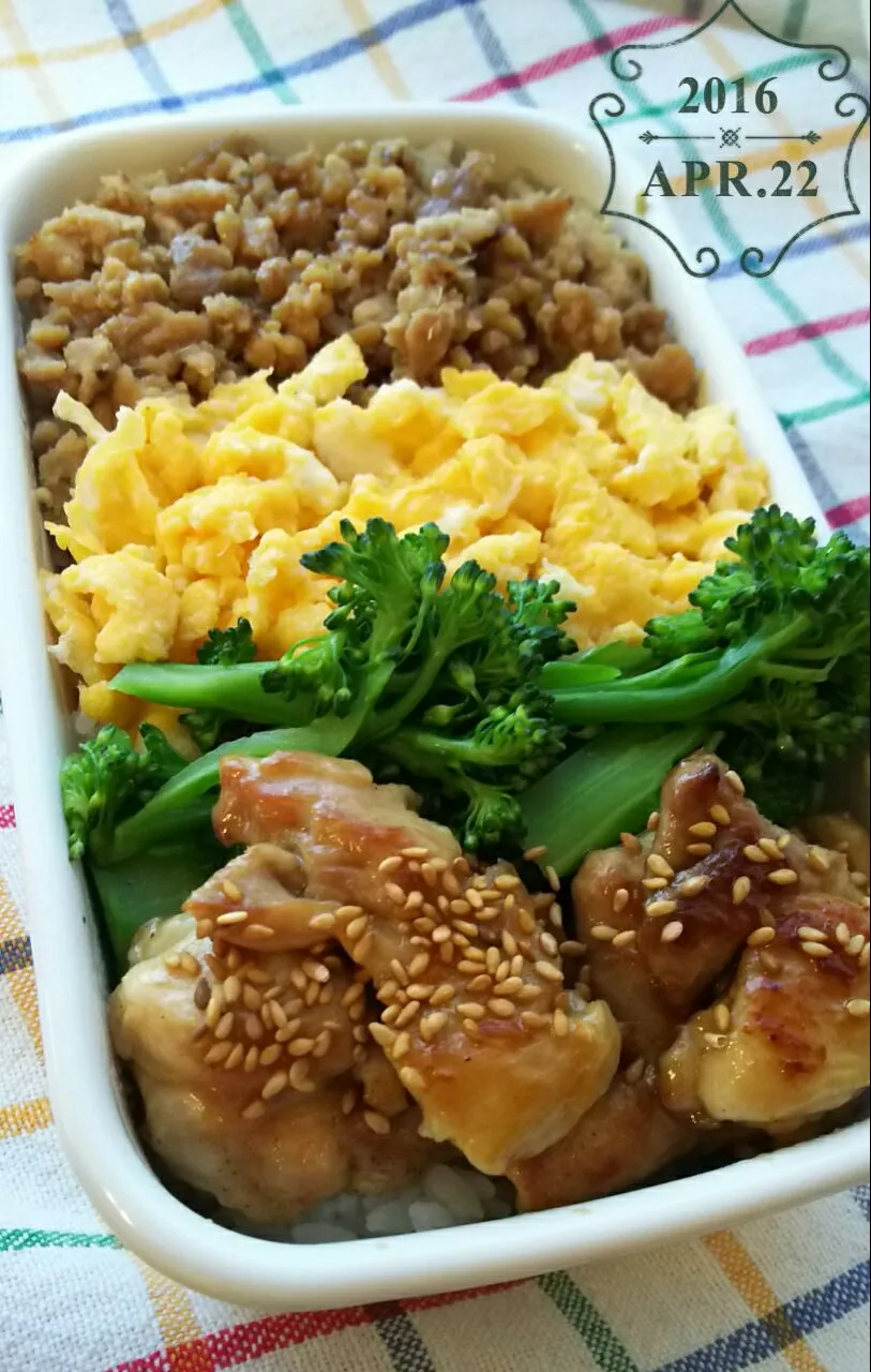 今日のパパ弁当は４色弁当🎵|key♪さん