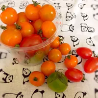 Snapdishの料理写真:カラフルなトマト🍅|ももさん