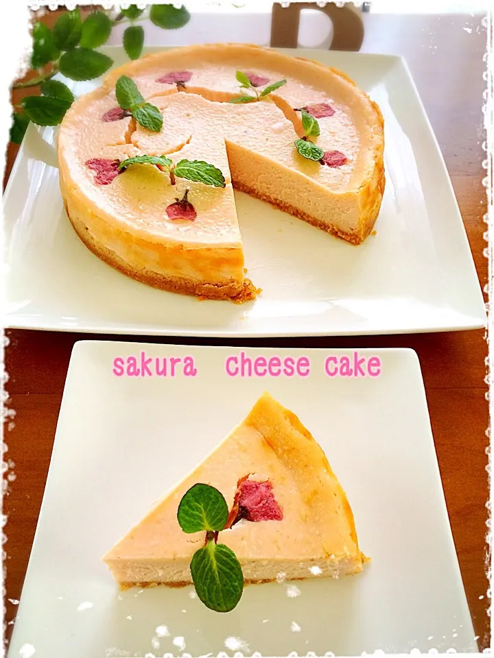 Snapdishの料理写真:食後のデザート♡桜チーズケーキ🌸|ばろんさん