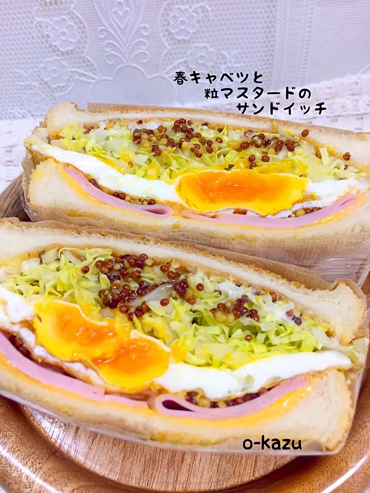 Snapdishの料理写真:春キャベツと粒マスタードのサンドイッチ|o-kazuさん