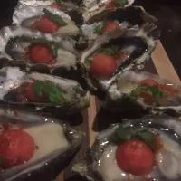 Oysters|luis silvaさん