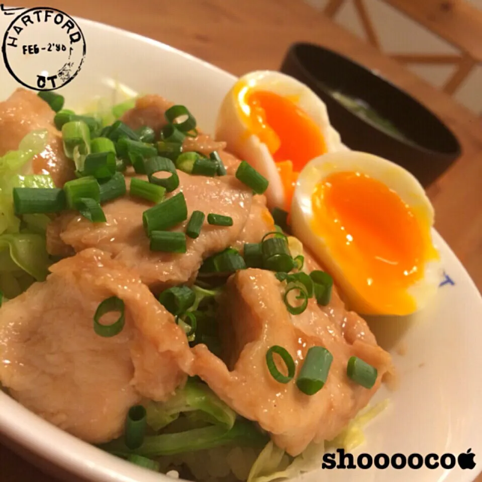 胸肉のスタミナ丼|shoooocoさん