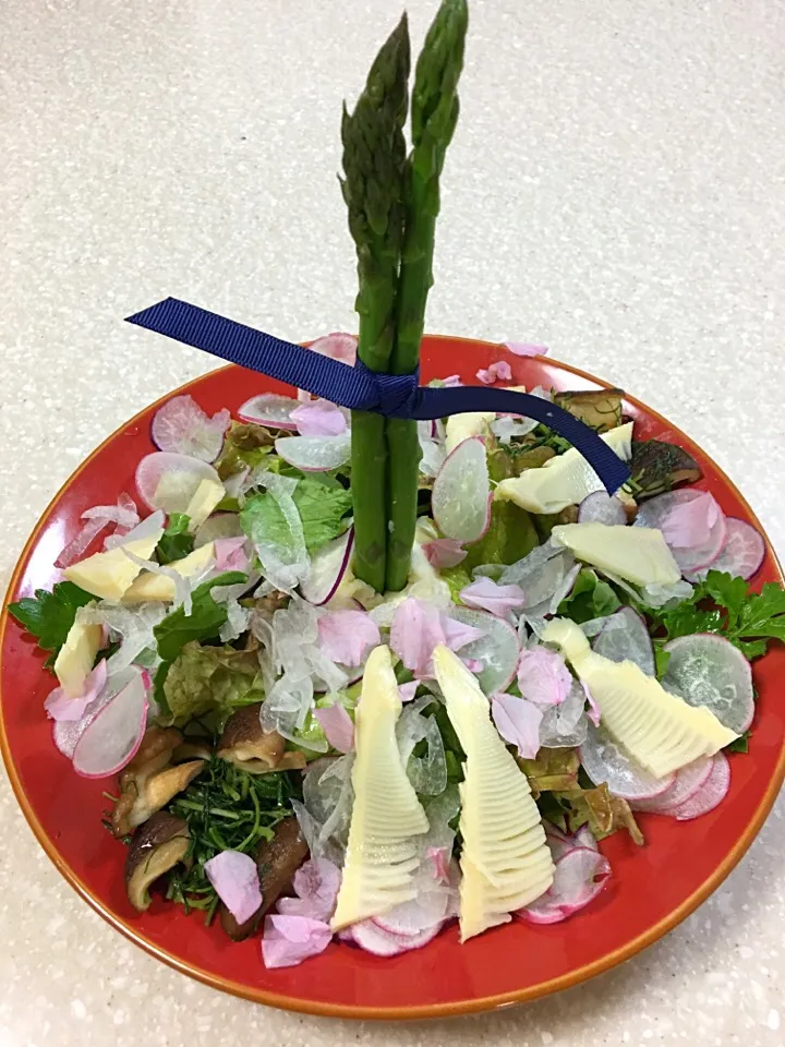 Snapdishの料理写真:春だよ🌸今しかない食材でサラダ|Kuraraさん