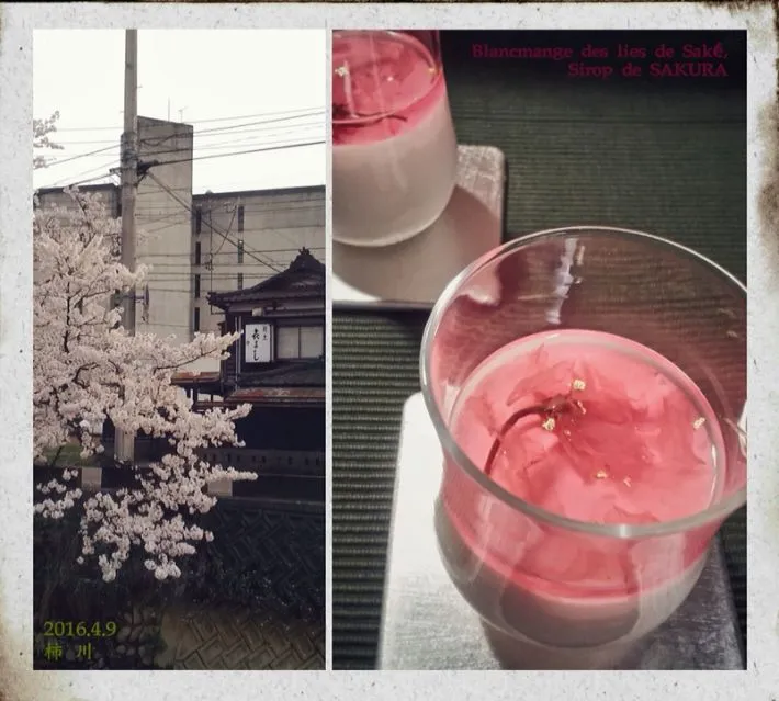 Snapdishの料理写真:madomoiselle keikoさんの酒粕と黒豆のブランマンジェ に桜シロップをかけて|こいさんさん