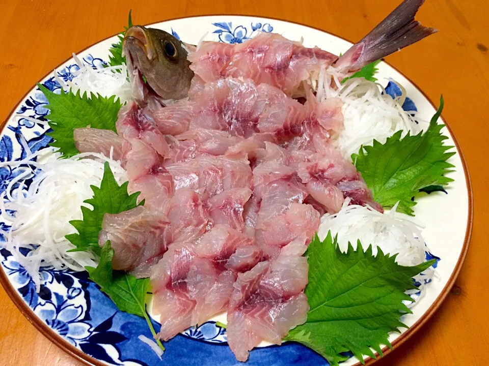 釣り人料理『イサキのお造り』|風流料理人さん