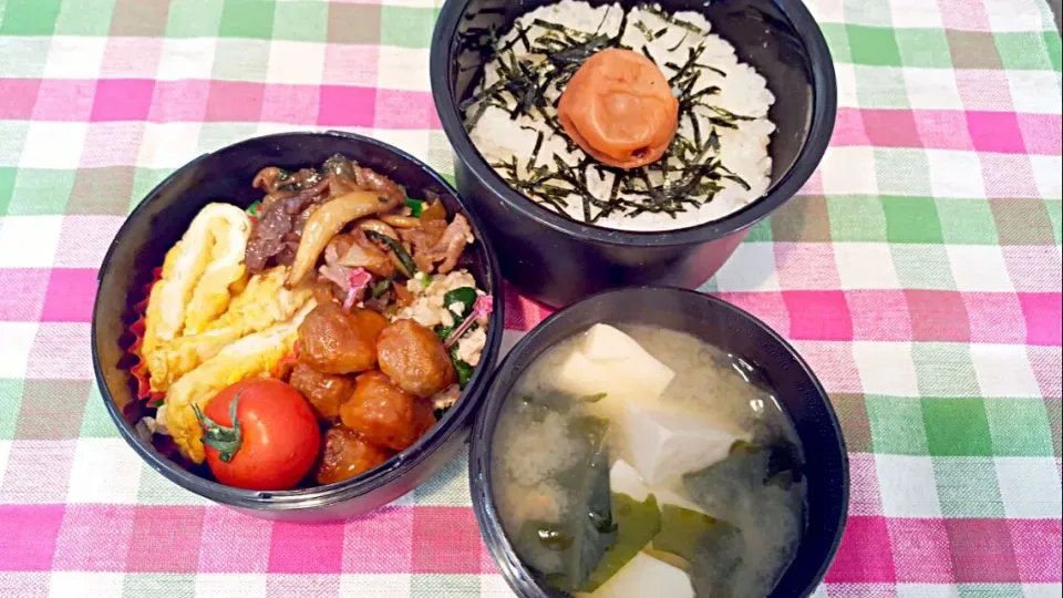 お弁当。甘辛牛野菜炒めとほうれん草とりそぼろとだしまきとミートボールとお味噌汁。|エリカさん