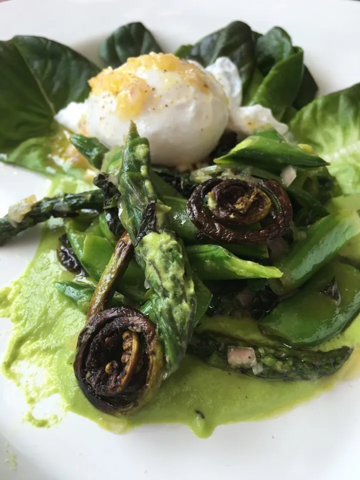 Spring Salad.. Asparagus , Snap Pea, Ramp, Pea, Fiddlehead Fern & Poached Egg with Asparagus Puree and Lemon Vinaigrette|Christine pavelkaさん