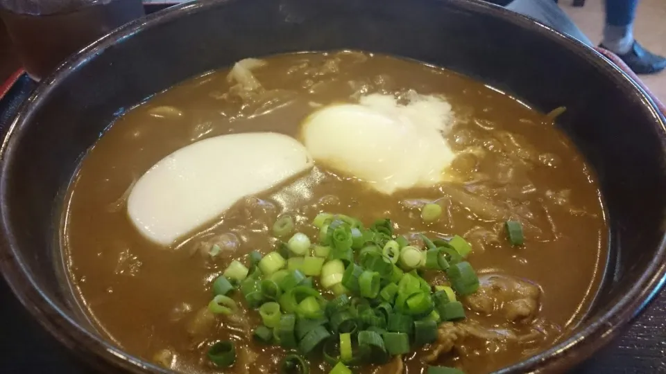 温泉玉子入り牛かれーうどん|サイファさん