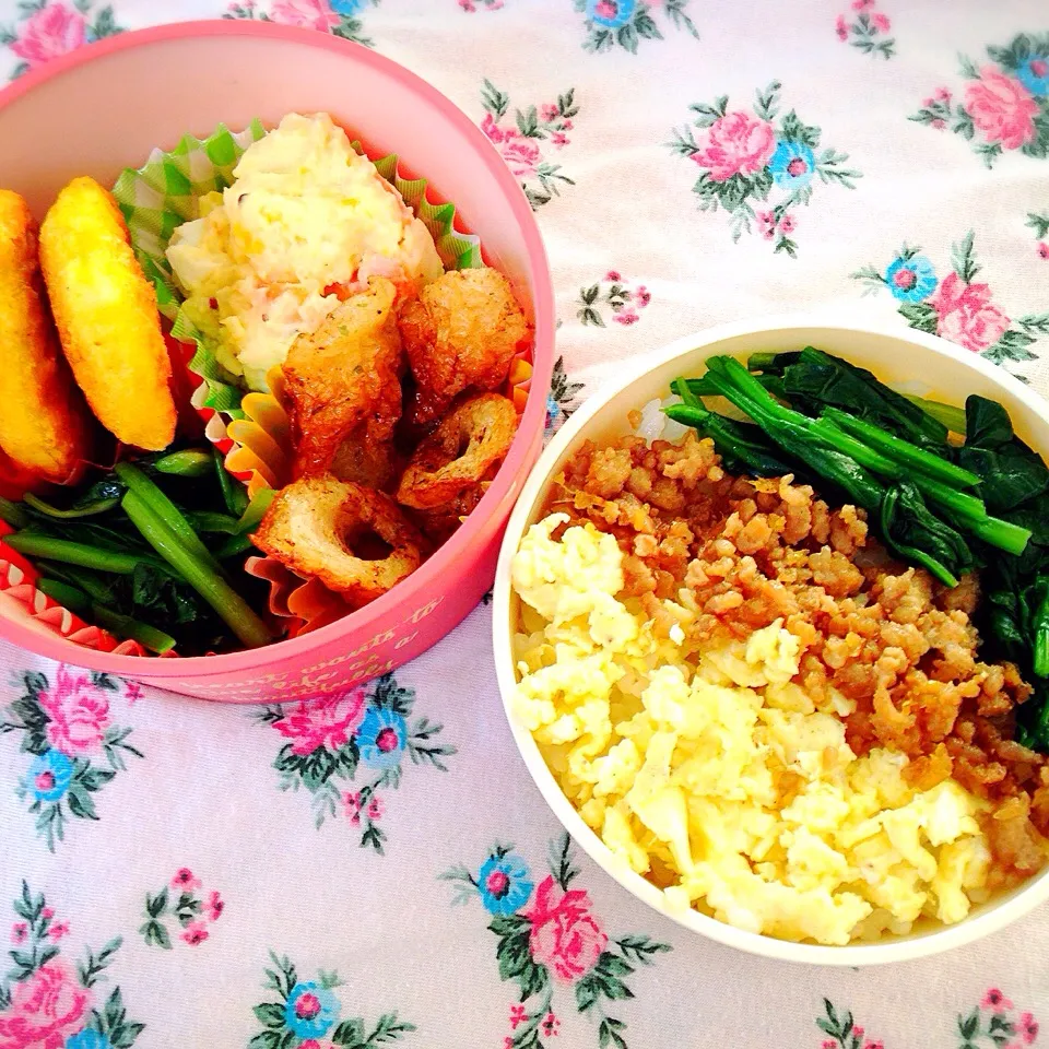 娘ちゃんが作る父親愛情弁当🙌|あーるさん