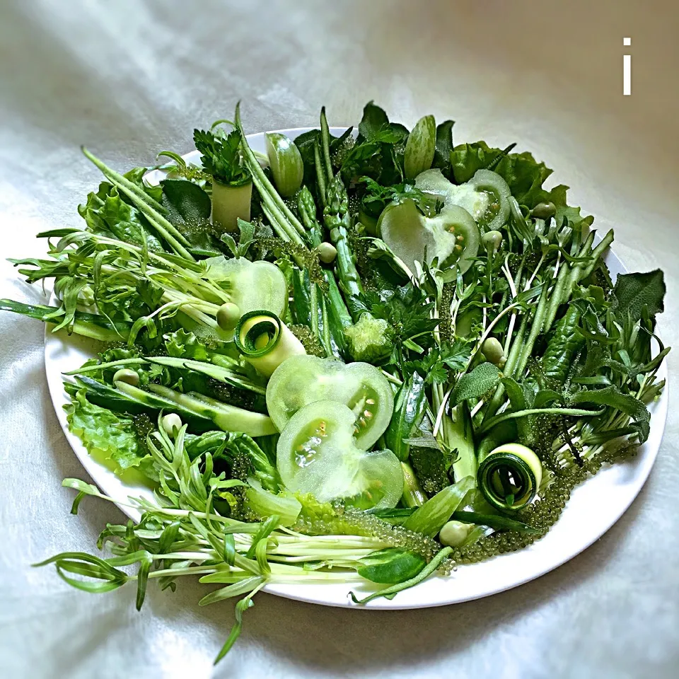 11種類のグリーンサラダ 【Salad mixed w/ 11 kinds of greens】|izoomさん