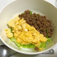 そぼろ丼🍚28.04.25|akihoさん